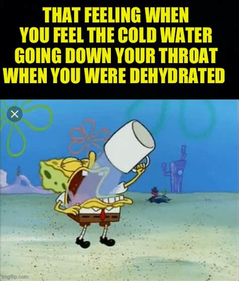 dehydrated meme|remember to drink water meme.